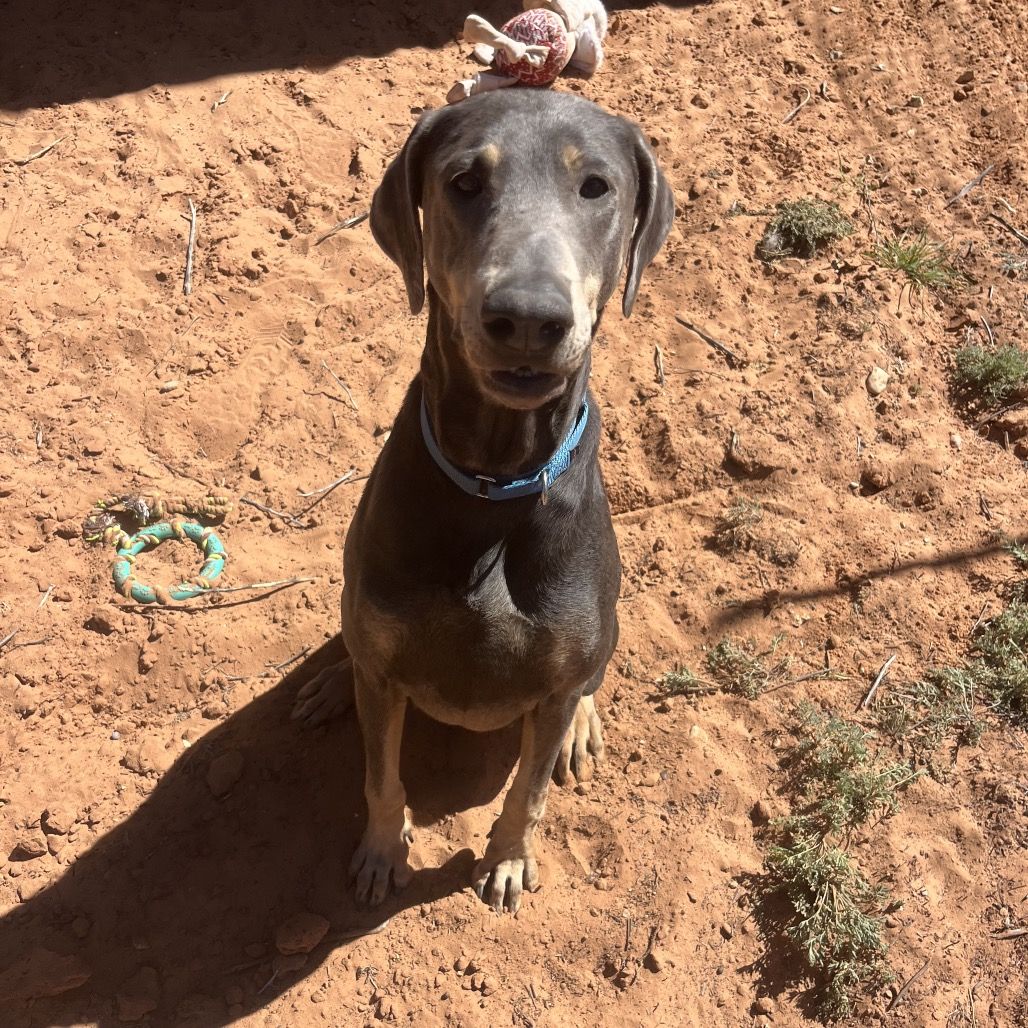 Hello my name is Frau