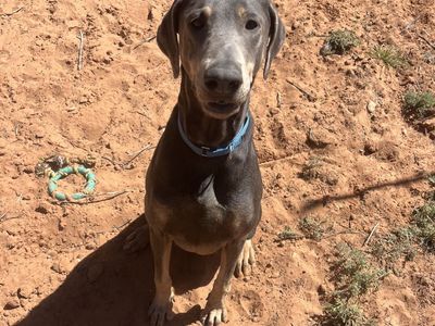 Hello my name is Frau