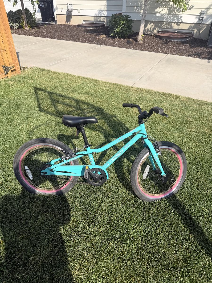 Kids 20” Guardian Bike