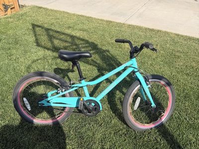 Kids 20” Guardian Bike