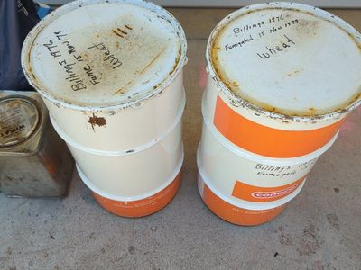 FREE Old wheat and oats
