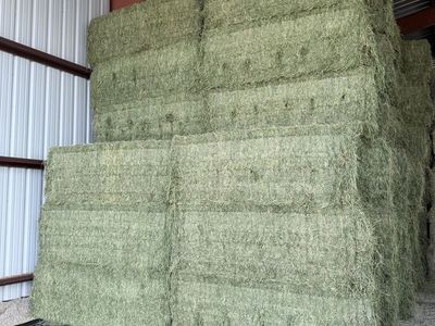 3rd and 2nd crop hay