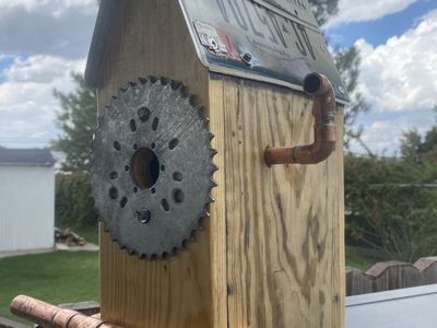 Custom bird house