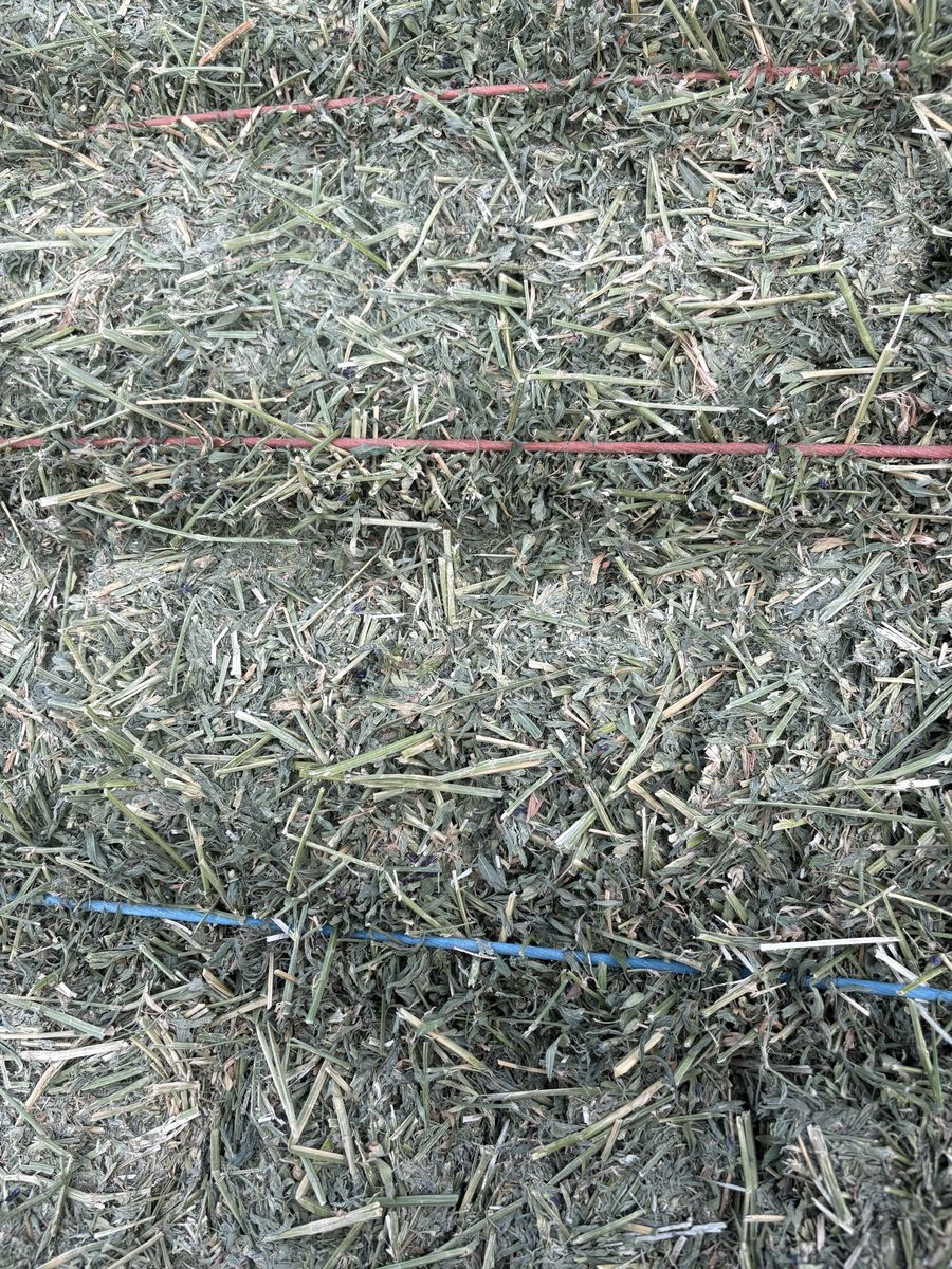 Main image 2