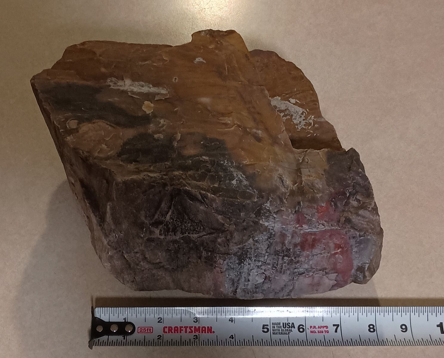 petrified wood 18 pounds