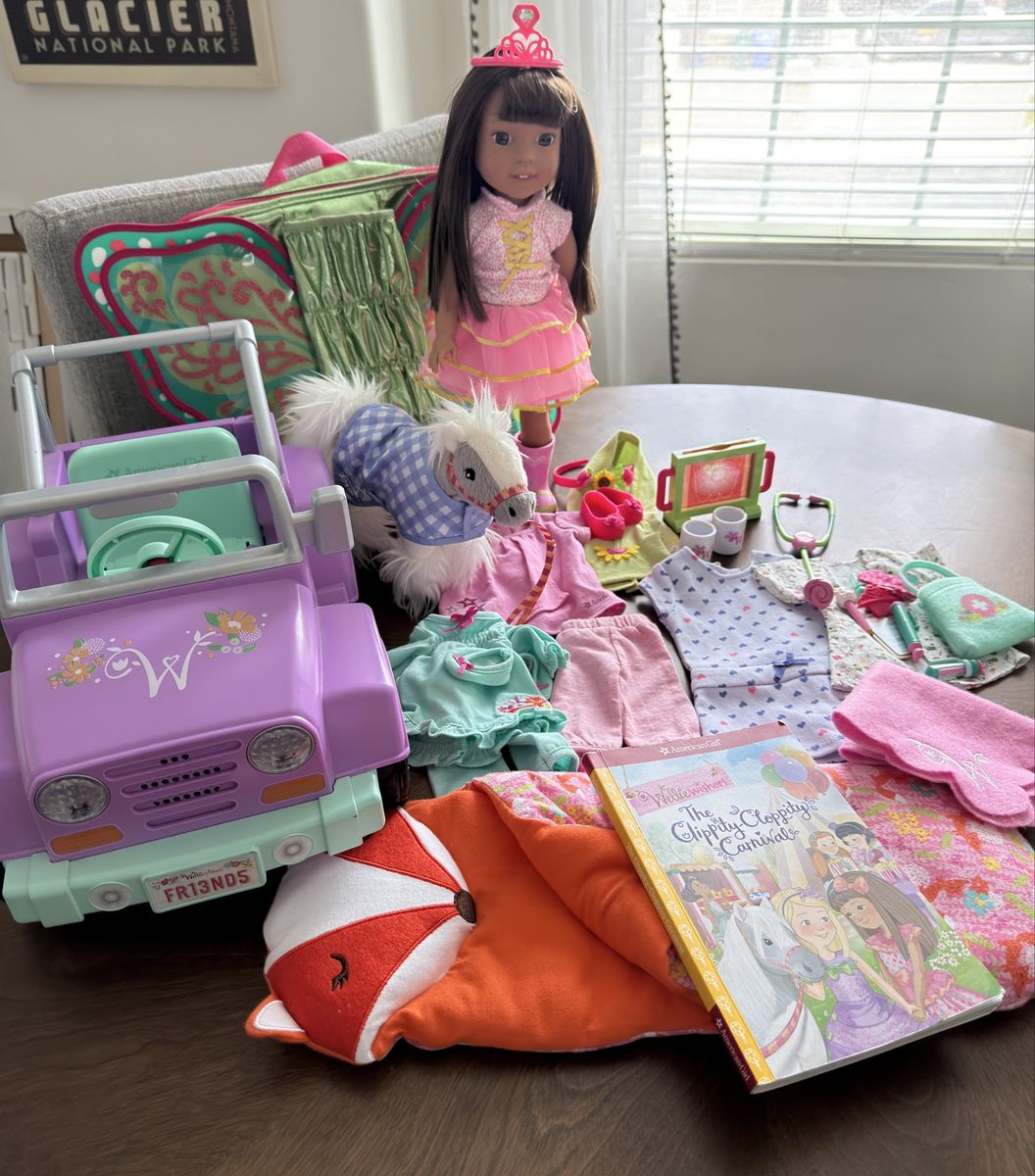 Wellie Wisher American Girl Ashlyn set