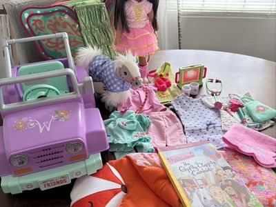 Wellie Wisher American Girl Ashlyn set
