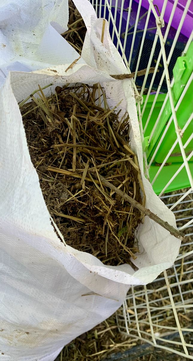 Amazing Rabbit Poop Fertilizer/Compost