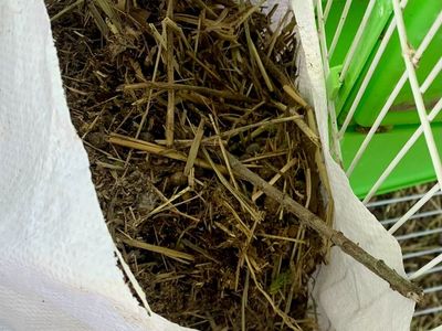 Amazing Rabbit Poop Fertilizer/Compost