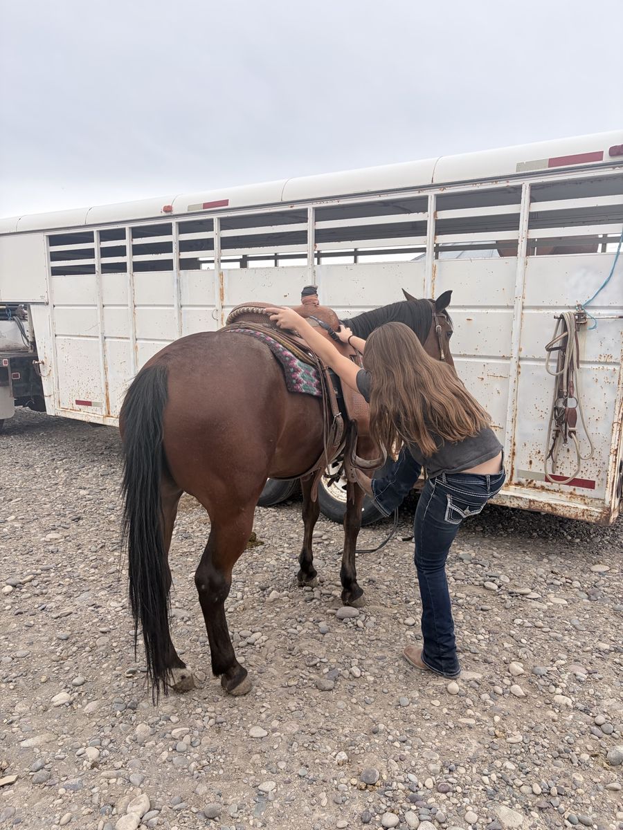Retired Heel Horse For Sale