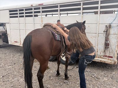 Retired Heel Horse For Sale