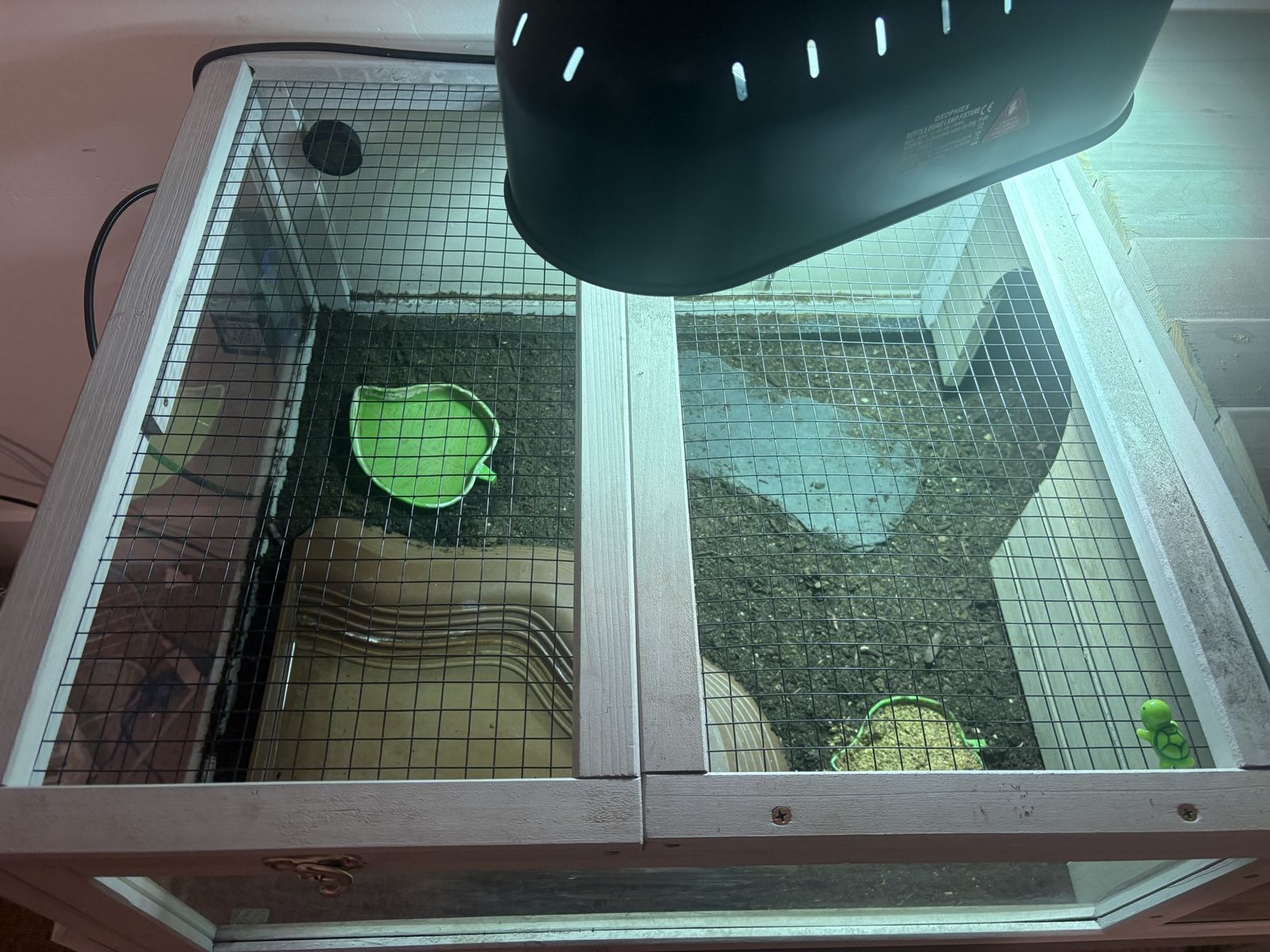 Main image 7