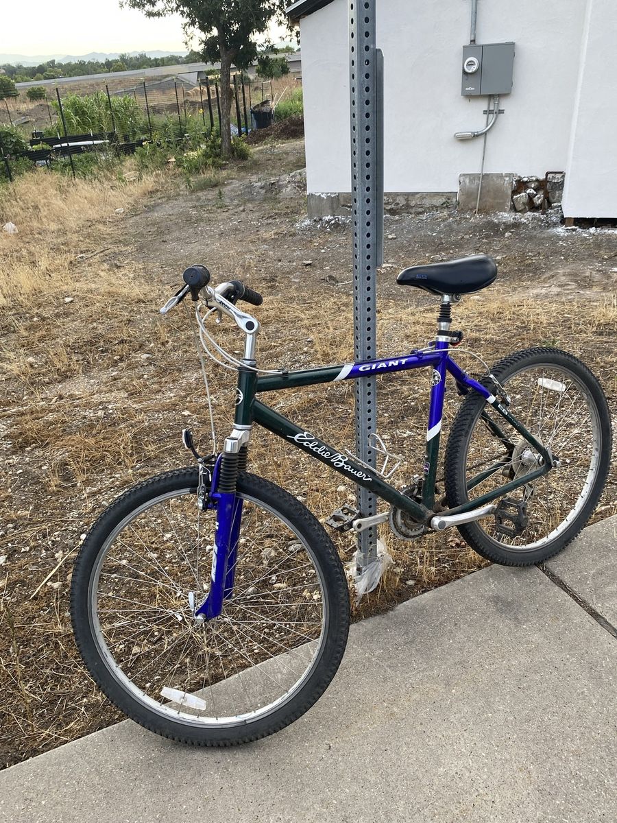 Giant Eddie Bauer Mountain Bike - Blue/Green, Hardtail