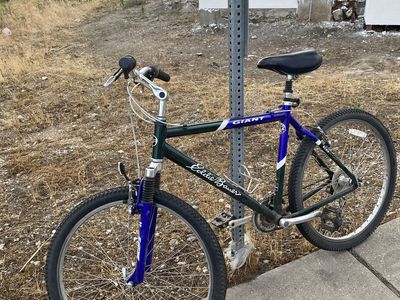 Giant Eddie Bauer Mountain Bike - Blue/Green, Hardtail