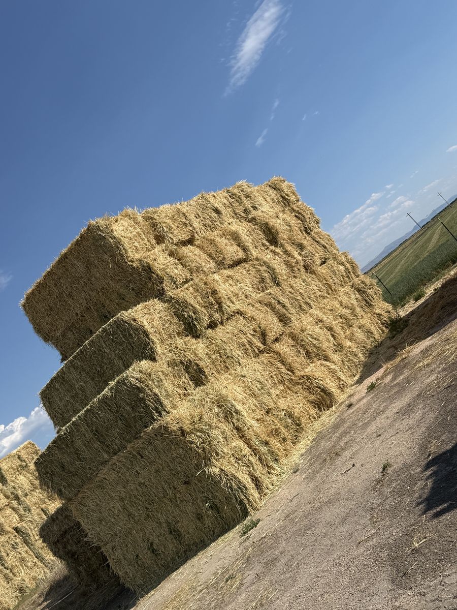 3-Way bales