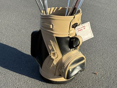 Vintage miniature golf bag, use to display clubs, trashcan,hold magazines, planter