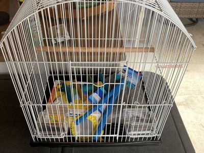 Small White Bird Cage with Assorted Perches, Feeders & Bed