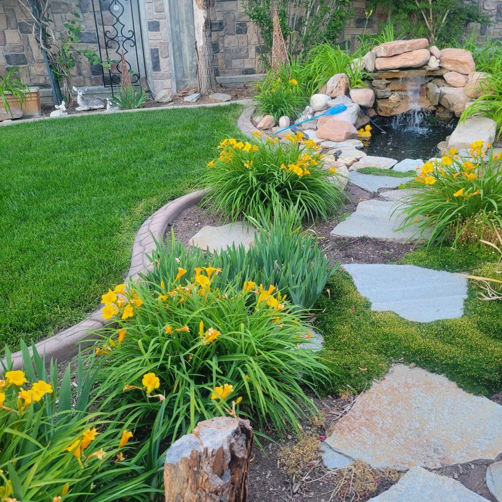 Pond and liner and pump.