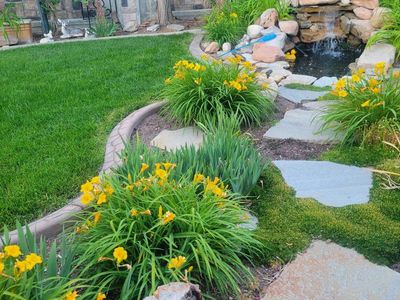 Pond and liner and pump.