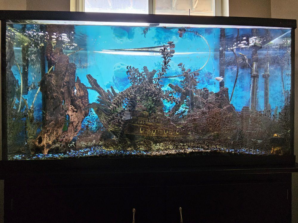 Fish tanks, stands, chemicals, minerals, salts, antibiotics, food, nets, cleaning supplies, filters, heaters, lights, air pump