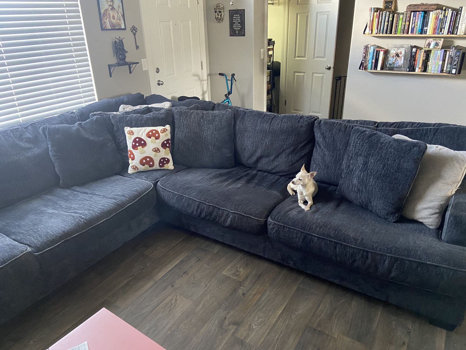 Big Cozy Sectional