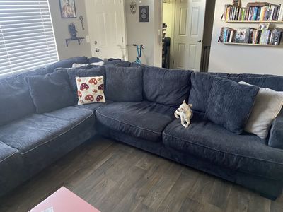 Big Cozy Sectional