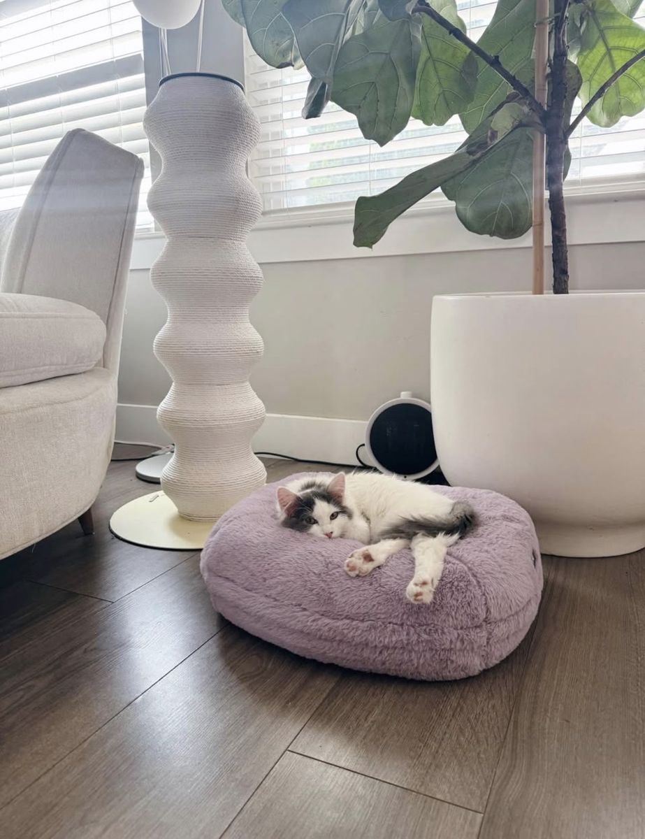 New Maya Luxury Washable Donut Cat Bed Omlet