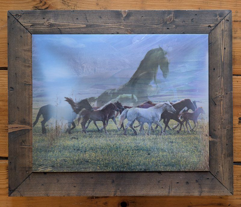 Holographic Wild Horse Photo