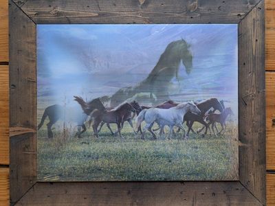 Holographic Wild Horse Photo