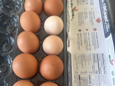 Eggs
