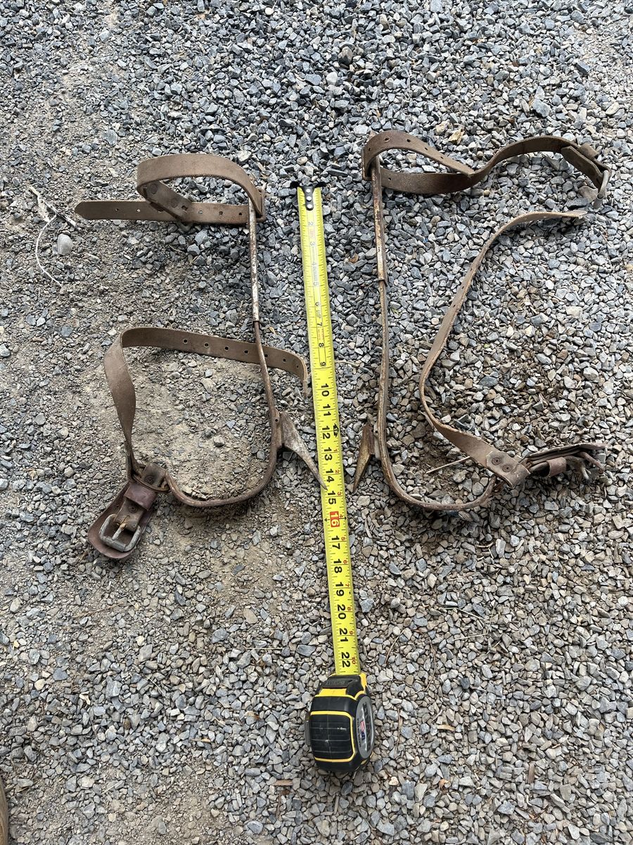 Main image 3
