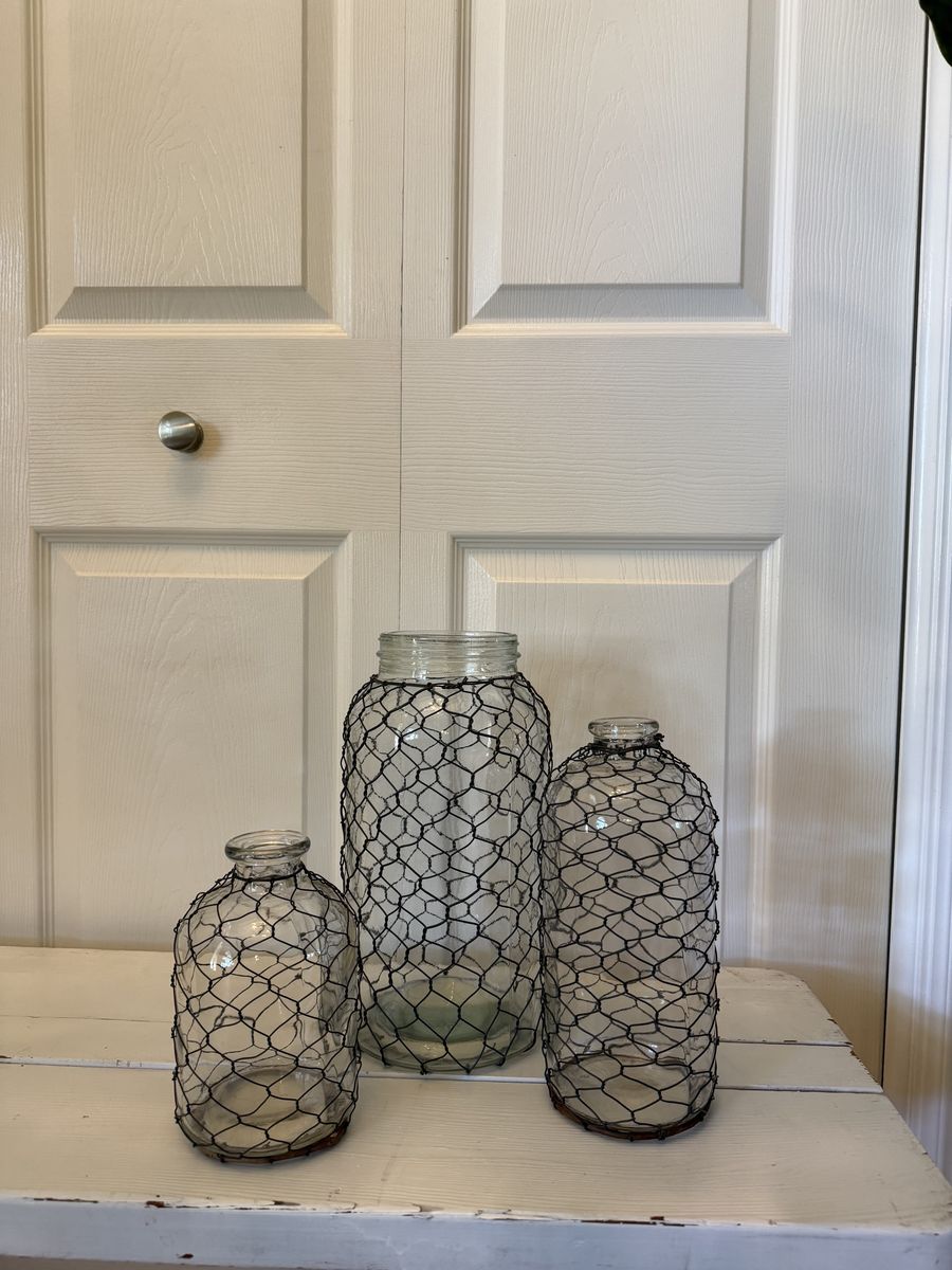 Set of 3 Clear Glass Vases with Chicken Wire Mesh