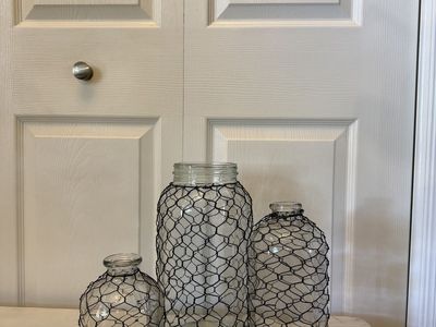 Set of 3 Clear Glass Vases with Chicken Wire Mesh