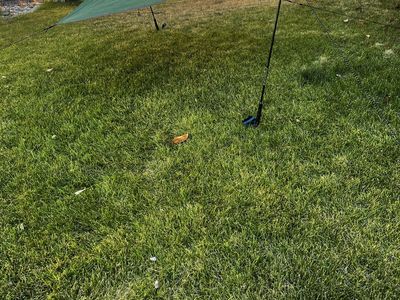 Ground Tarp