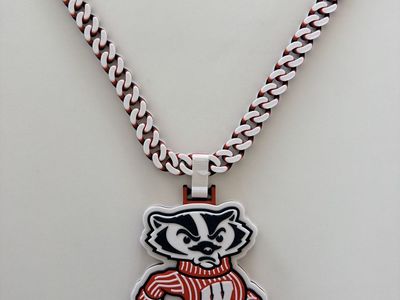Wisconsin Badgers