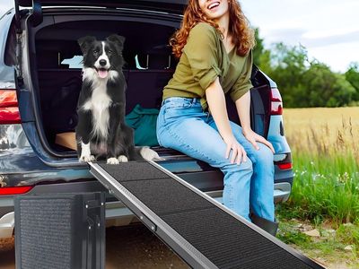 New Dog Ramp for Cars SUV Truck-17.3x71in Heavy Duty Foldable Wide Outdoor Pet Stairs with Non-Slip