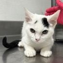 Hello my name is Marley