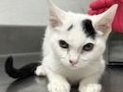 Hello my name is Marley