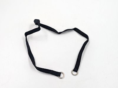 Dog Leash Extension Black 6 Inch