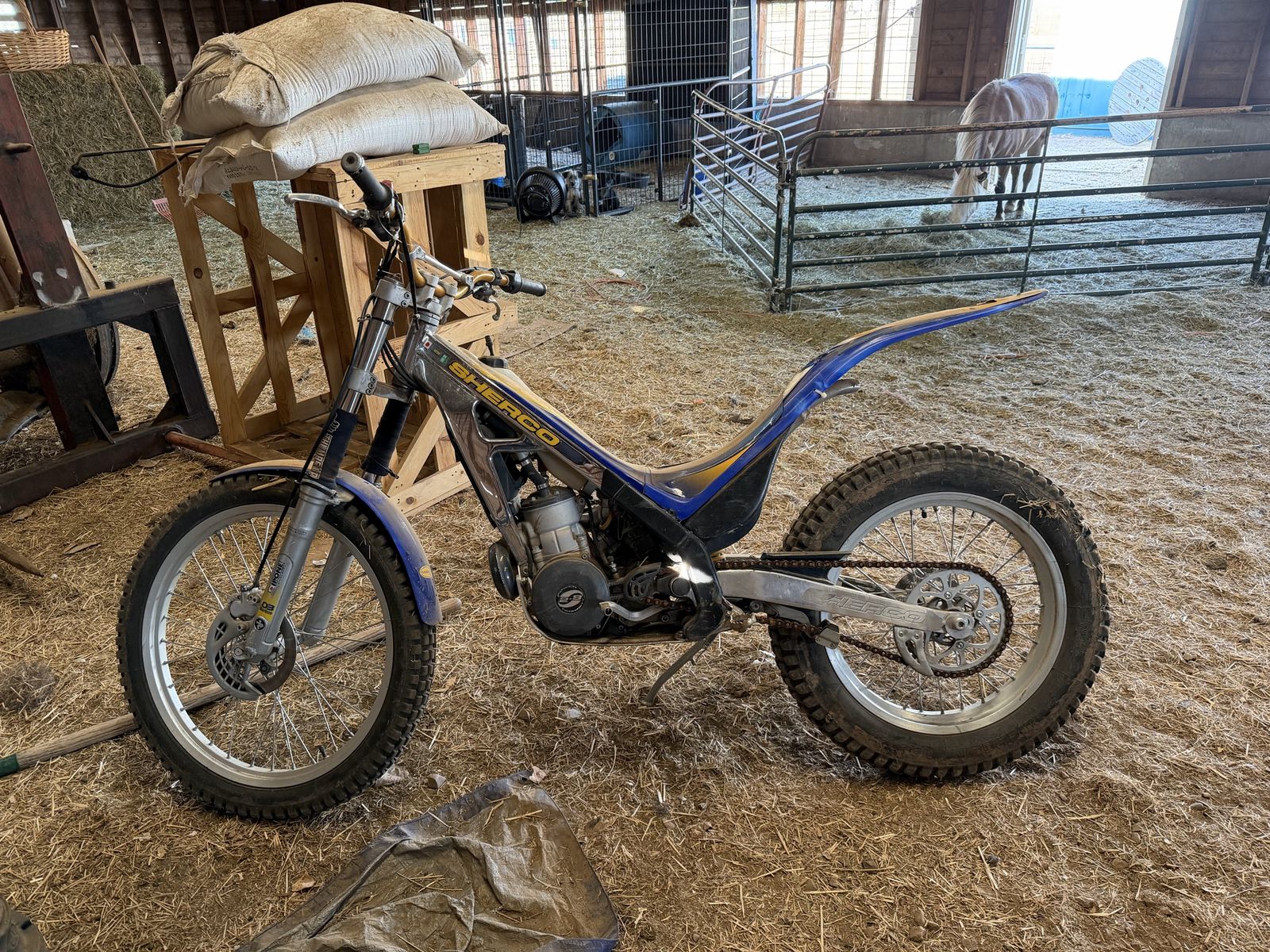 Sherco Trials Dirt Bike - Blue and Silver 2-Stroke