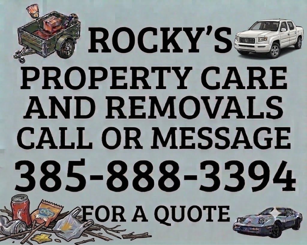 Local properties cleaner and hauling services