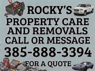 Local properties cleaner and hauling services