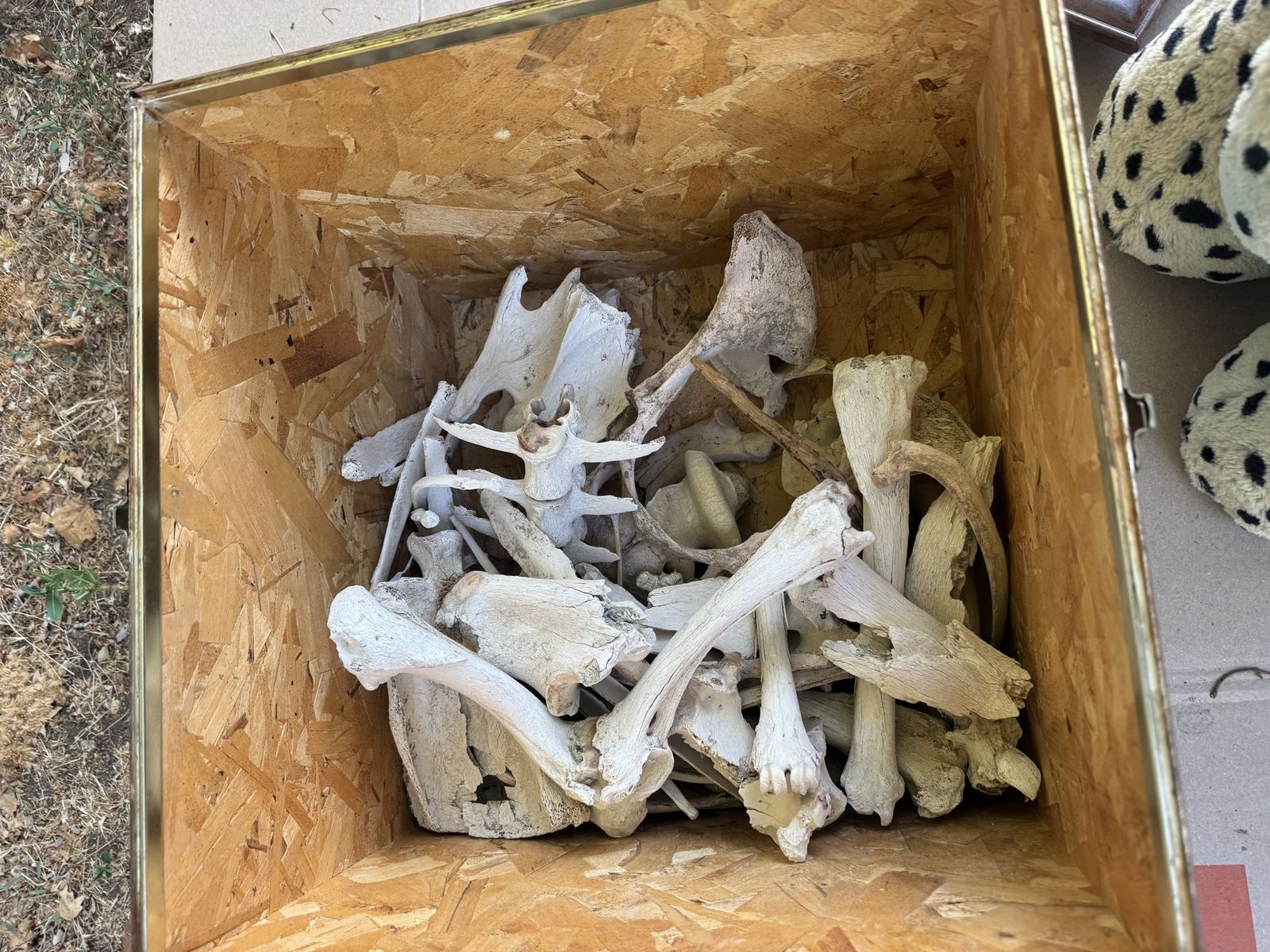 Main image 4