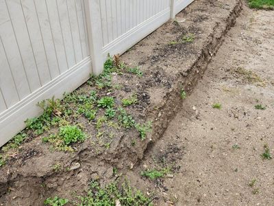 Free Dirt