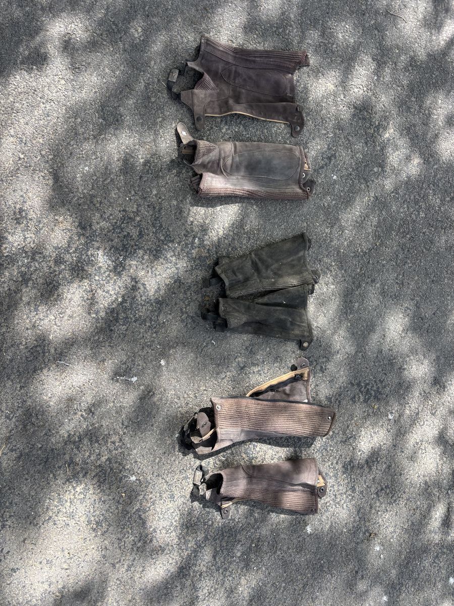 English Half Chaps