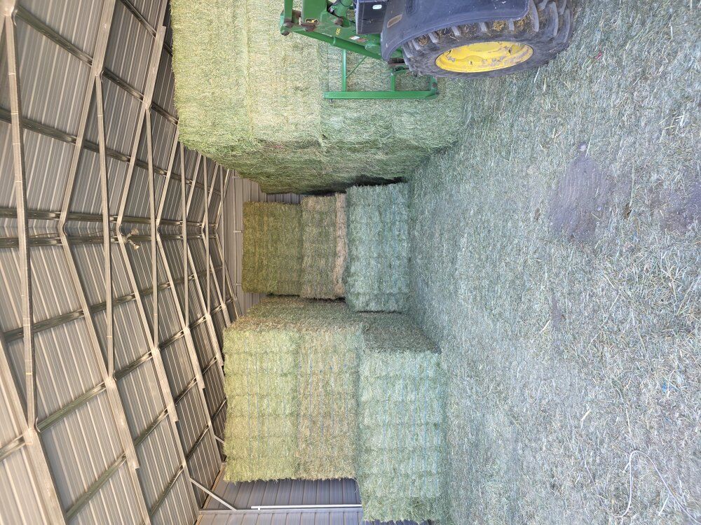 100% Grass Hay 3 string bales Free Delivery