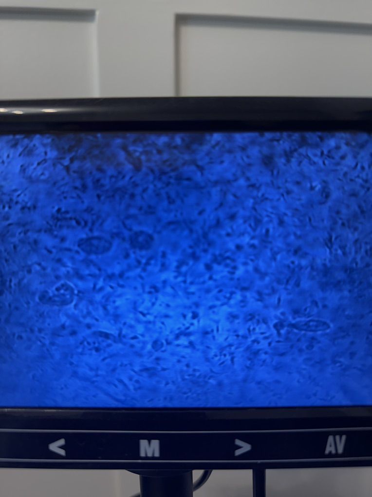 Main image 6