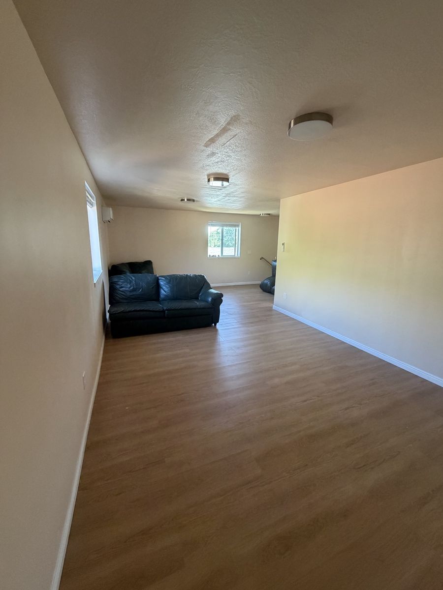 Main image 5