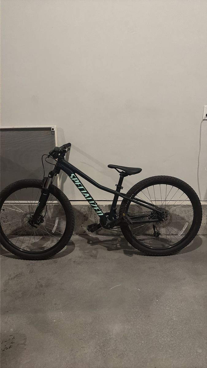 Specialized rockhopper teal green and black Color
