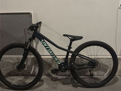 Specialized rockhopper teal green and black Color